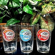 カリンのバンギラス ハンギングポット カーリン ハンギング 15 Y 3号鉢用 #FARM