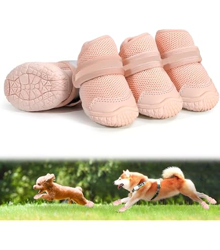 Amazon.co.jp: 犬用クロックス春夏レインブーツペット用品ゴールデン