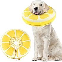 オレンジ　L エリザベスサークル チョーカー インフレータブル ペット用品 オレンジ L エリザベスサークル チョーカー インフレータブル