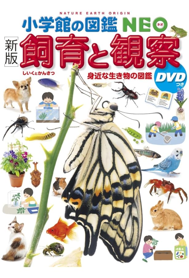 新版］カブトムシ・クワガタムシ DVDつき (小学館の図鑑NEO 16