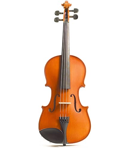 Amazon | STENTOR バイオリン アウトフィット 適応身長145cm以上 湿度