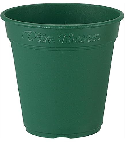 Amazon.co.jp: 大貫 弘由岐 鉢 GEO valiem カタチ製作所