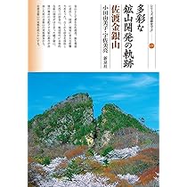 多彩な鉱山開発の軌跡 佐渡金銀山 (シリーズ「遺跡を学ぶ」175) | 小田