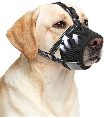 Amazon.co.jp: 犬用口輪 犬のマズル しつけ用口輪 調節可能 マズルカ