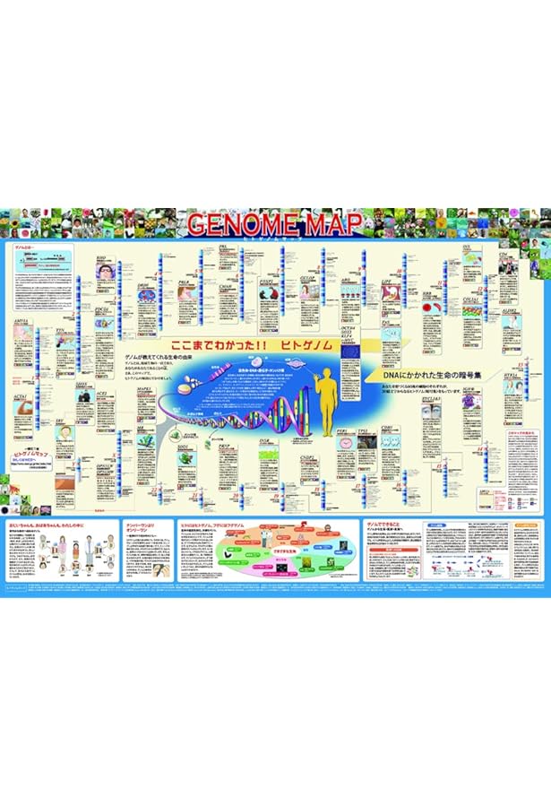 ヒトゲノムマップ (学術選書 (035)) | 加納 圭 |本 | 通販 | Amazon