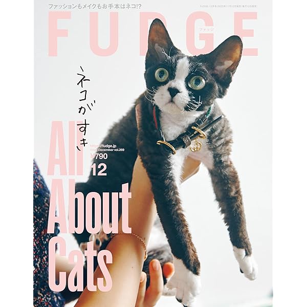 FUDGE -ファッジ- 2022年 11月号 北欧 特集／アニメーション映画