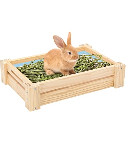Amazon | Brfveob うさぎ 草入れ 4in1 牧草フィーダー・トイレ・給食器 