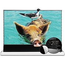 Amazon | 超短焦点 レザー プロジェクタースクリーンVIVIDSTORM