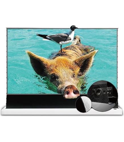 自立型 エリートスクリーン EZシネマ 80インチ（16:9） F80NWH EZシネマ｜EZシネマ 80インチ(16:9) マックスホワイト素材 ブラック