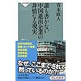 誰も書かない中国進出企業の非情なる現実(祥伝社新書327)