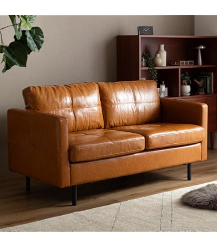 Amazon | ソファー ブラック シャーク2P-BK | エムール | ソファ・カウチ