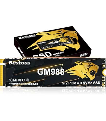 BIWIN M350 2TB SSD, PCIe 4.0 NVMe M.2 SSD, up to 6000MB/s