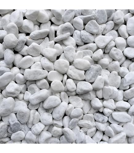 中国 天然 鑑賞 石 痩透漏 18✖︎10cm 中国 天然 鑑賞 石 痩透漏 18