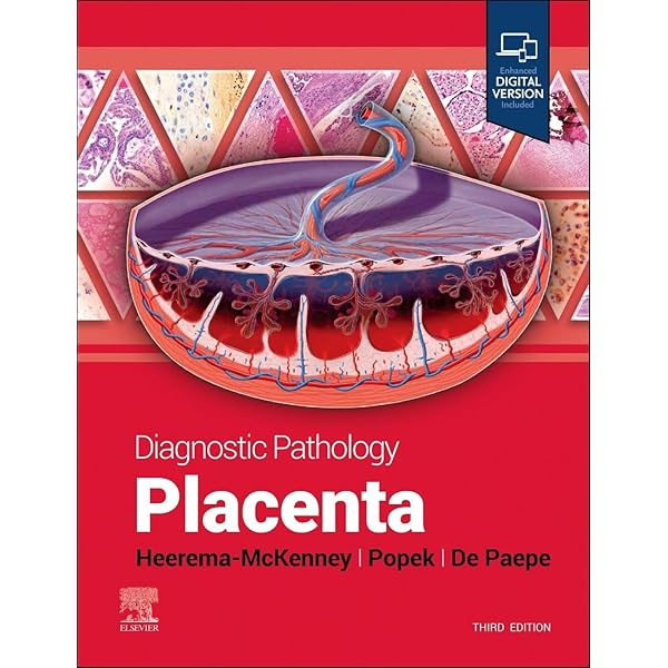 PLACENTA EXCELα ゆりーな Dr. Select Placenta Clear Gel Gynecological gel for the