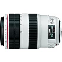 Canon EF 70-300mm f/4.0-5.6 L IS USM : CANON: Amazon.sg: Electronics