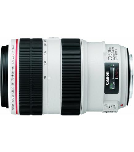 Canon EF 100-400 f4.5-5.6 L IS II USM Lens : CANON: Amazon.sg