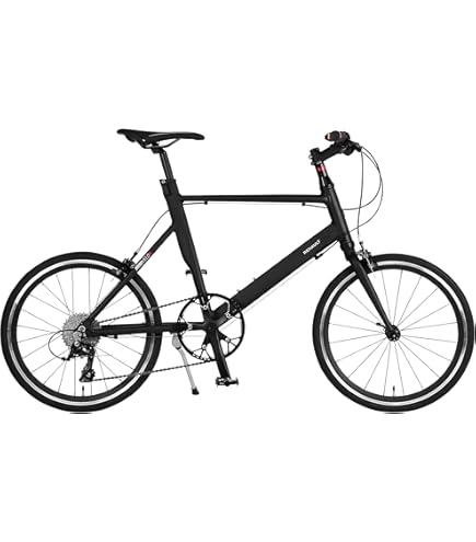 Amazon | RALEIGH ラレー RSP RSW Special 2025年モデル 20インチ