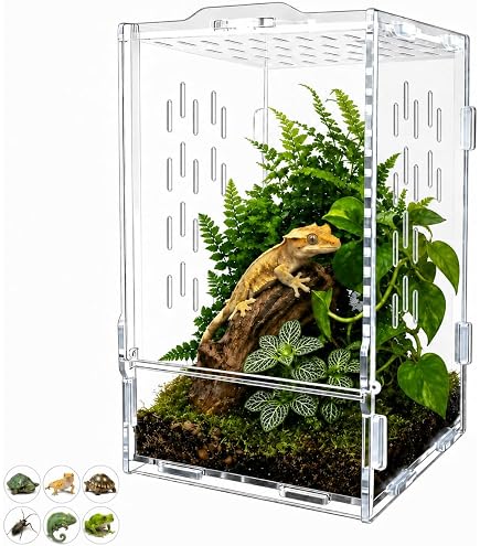 Amazon | ジェックス GEX EXOTERRA グラステラリウム3045 PT2602
