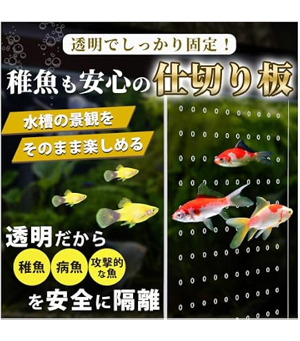 Amazon | BaraRose 水槽 セパレーター 水槽仕切り板 水 槽用 魚隔離板