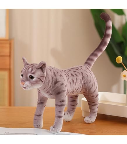 Amazon.co.jp: ねむネコ 飾り帯BIG ぬいぐるみ －約33cm－ (B: 白ねむ