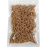 パスタスナック ソルト味 お徳用 業務用 210g 三州総本舗 Pasta Snack カリカリ食感 お菓子 おつまみ (ソルト味)