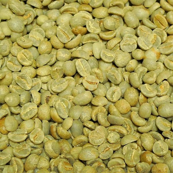 コーヒー生豆　約3. 6Kg ハンドピック済み コーヒー生豆 約3. 6Kg ハンドピック済み コーヒー生豆 約3. 6Kg