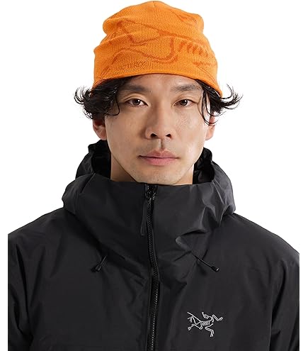 Amazon.co.jp: [アークテリクス] Bird Head Toque Smoke Bluff：Arctic