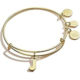 Alex and Ani Initial C III Bangle Bracelet