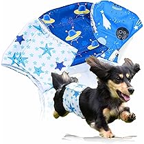 Amazon.co.jp: 【獣医師監修】 マナーベルト 犬 男の子 3点セット お