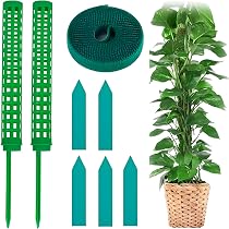 Amazon | 【園芸アドバイザー監修】 fogman モスポール 支柱 観葉植物