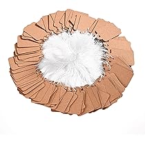 Amazon | ジュエリー 値札 紙タグ 100枚 プライスタグ クラフト紙タグ