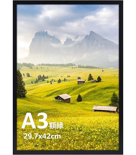 Amazon.co.jp: kj 額装品2 タワレコ スーパービーバー 貴重写真