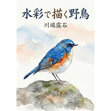 Amazon.co.jp Hot New Releases: The bestselling new & future