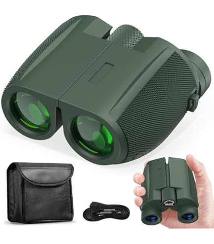 【美品一点物】Nikon 双眼鏡T11 8-24x25 Amazon | Nikon ズーム双眼鏡 アキュロンT11 8-24x25 ポロプリズム式 8