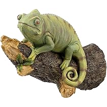 Amazon.co.jp: gazechimp 壁に取り付けられた樹脂カメレオン置物