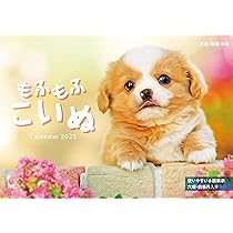 71ZiLNgLr-L._AC_UL210_SR210,