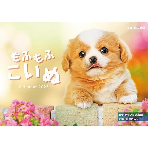 もりいぬ カレンダー2025 もふもふこいぬ（月めくり/壁掛け） (インプレス