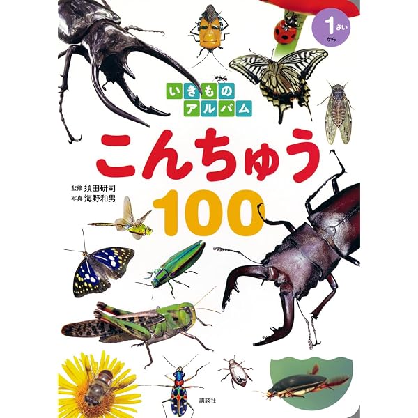 こんちゅう100 (どうぶつアルバム 9) | 高家 博成 |本 | 通販 | Amazon