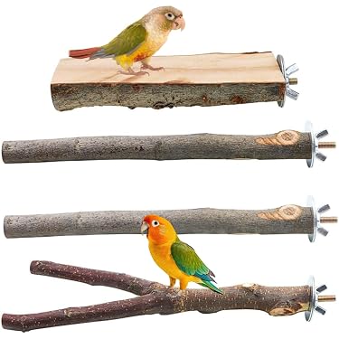 木製鳥用止まり木 多枝構造 移動可能 Amazon.co.jp 売れ筋ランキング: 鳥用止まり木 の中で最も人気のある