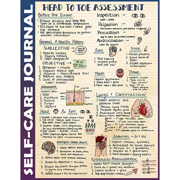 Head To Toe Assessment Cheat Sheet Version 2 Nursing