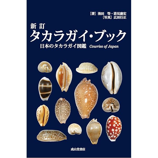 日本と世界のタカラガイ: 自然が生み出す驚きの造形美 (ネイチャー