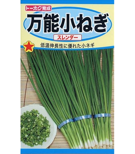 かず　ネギ苗1500本 Amazon | サカタのタネ 実咲野菜3875 九条葉ねぎ ネギ 00923875