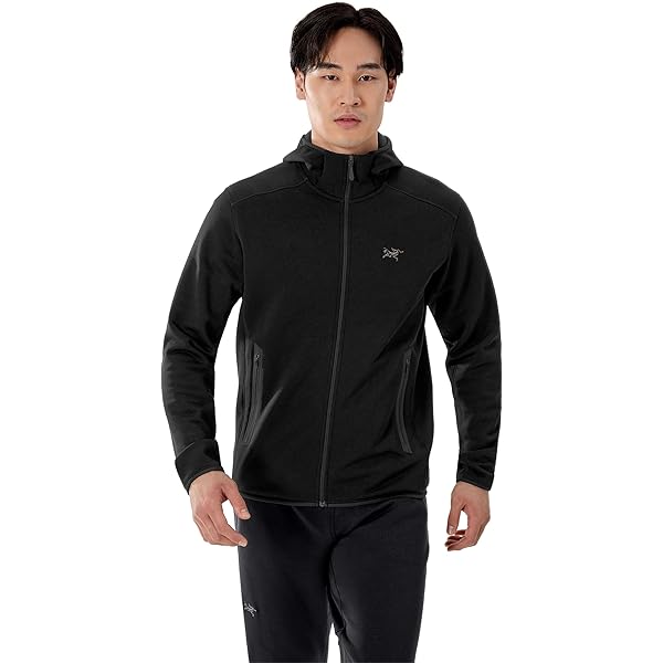 Amazon.co.jp: [アークテリクス] Kyanite Hoody Men's カイヤナイト