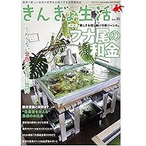 きんぎょページ きんぎょのおやつ 半生パック 20g | 水中生物用品・水槽用品