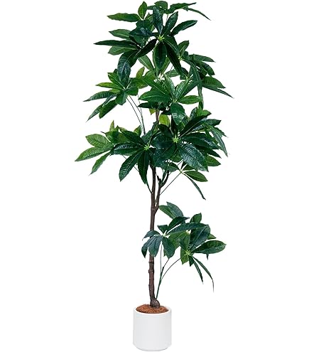 Amazon｜光触媒観葉植物 トネリコ1.8〔フロアタイプ〕 インテリア