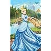 シンデレラ ディズニー - シンデレラ FVGA(480×800)壁紙 65751