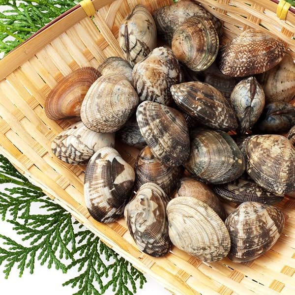 Amazon.co.jp: 【北海道厚岸産 殻付き 活あさり 大中混合 1kg 砂抜き