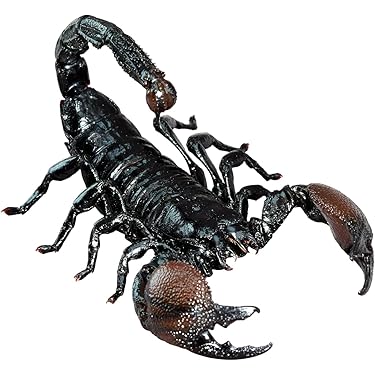 Amazon.co.jp 最新リリース: 動物フィギュア の新着ランキングです。