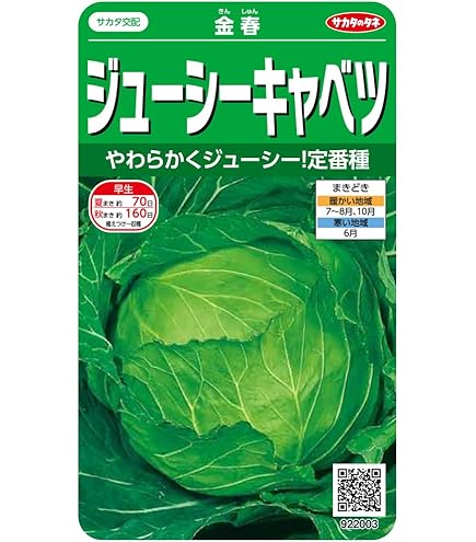 Amazon.co.jp: MASUDA KALE キャベツ種 とくみつ（小袋 20粒