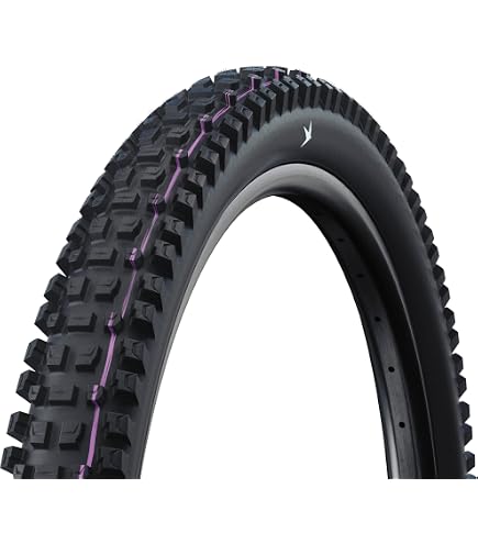 Pneu Schwalbe Racing Ralph Evo – 60-622 (29x2,35") – Tubeless Easy – ADDIX Speed – Super Race – Flanc Transparent